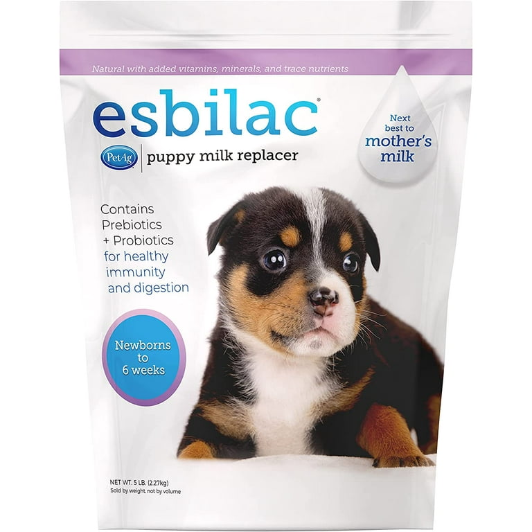 Puppy milk walmart discount