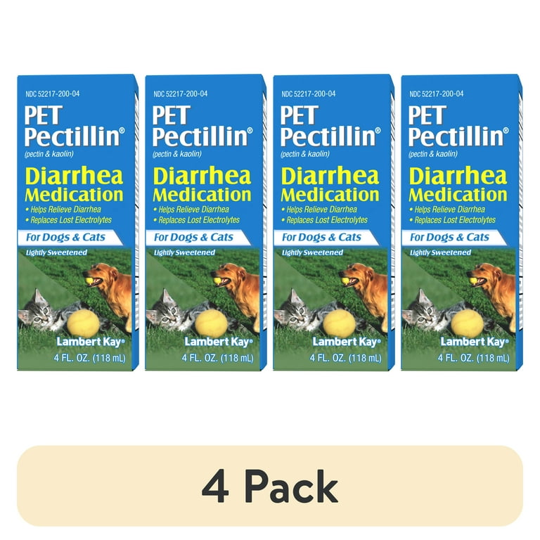Medication to stop diarrhea in dogs on sale