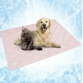 thumbnail image 1 of PetAmi Premium Cooling Dog Blanket | Lightweight Fluffy Pet Throw Blanket Bed Cover for Dogs, Cat, Puppies | Pet Blanket Furniture Protector Couch Sofa | Reversible Fuzzy Cozy | 60x80, Pink, 1 of 7