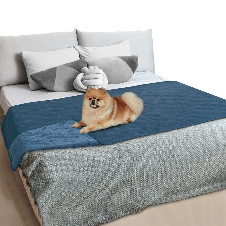 https://i5.walmartimages.com/seo/PetAmi-WATERPROOF-Dog-Blanket-Furniture-Cover-Protector-Quilted-Anti-Slip-Pet-Couch-Sofa-Bed-Dogs-Cats-Water-Resistant-Soft-Large-Puppy-Quilt-Washabl_7442d21e-6c3b-46a7-bfb0-ac5b48a8019f.bd70f302a3c517b5b56414143ffe48b2.jpeg?odnHeight=768&odnWidth=768&odnBg=FFFFFF