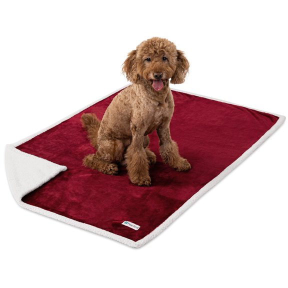 PetAmi Waterproof Dog Blanket for Medium Large Dog Puppy Cat Throw for Couch Cover Leakproof Protection, Sherpa Fleece, Reversible Soft Washable 60x40 Wine Red