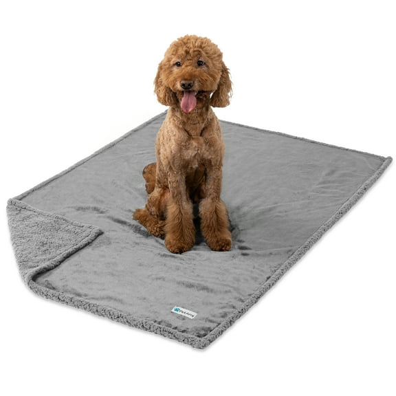 PetAmi Waterproof Dog Blanket for Medium Large Dog Puppy Cat Throw for Couch Cover Leakproof Protection, Sherpa Fleece, Reversible Soft Washable 60x40 Light Gray