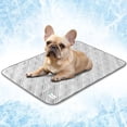 thumbnail image 1 of PetAmi Waterproof Cooling Mat for Dog, Premium Pet Cooling Blanket for Bed Crate, Anti Slip Indoor Dog Cool Pad for Sleeping, Q-MAX Small Medium Sofa Couch Cover Mat for Cat, Light Grey, 29x40, 1 of 8
