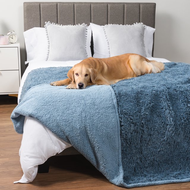 PetAmi WATERPROOF Dog Blanket For Large Dog, Calming Pet Blanket Bed Couch Cover Protector, Washable Sherpa Faux Fur Throw for Sofa Furniture Protection, Soft Fluffy 60x80 Light Blue
