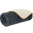 thumbnail image 1 of PetAmi Waterproof Dog Blanket For Small Medium Dogs, Pee Proof Pet Blanket Sherpa Fleece Couch Cover, Reversible Cat Throw Bed Sofa Protector, Soft Plush Washable Pad (Small 24x32, Gray/Beige), 1 of 7