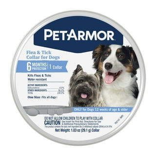 Chewy Seresto Collar