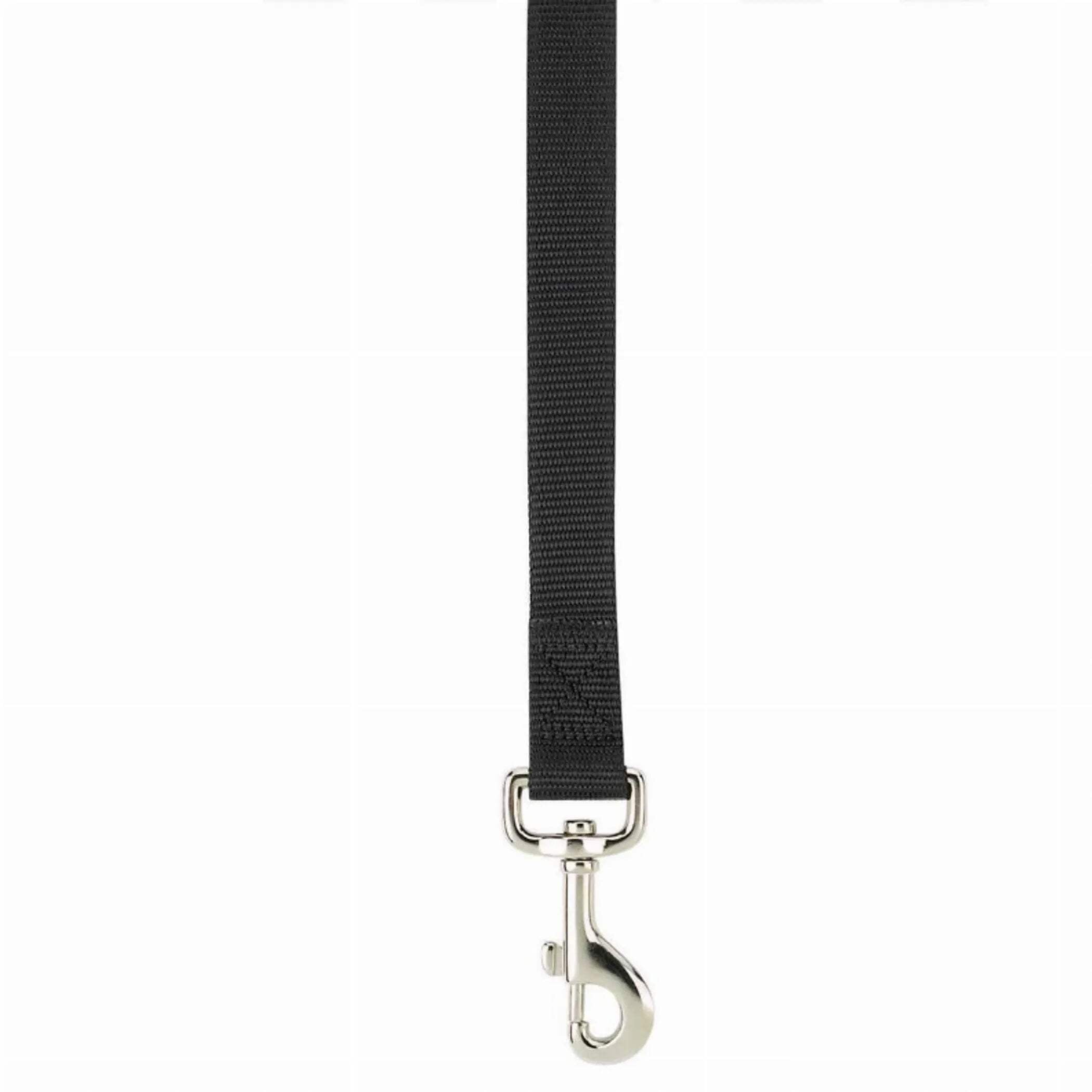 PetEdge  6 ft. x 1 in. Casual Canine Lead Dog Collar, Black