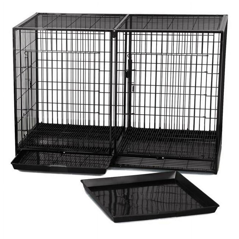 Amazon Proselect Proselect Empire Dog Cage Medium Dog Cage Large