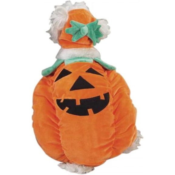 PetEdge Zack & Zoey Pumpkin Pooch Costume, Orange, Medium