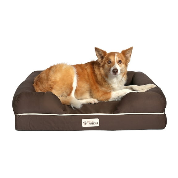 PetFusion Ultimate Orthopedic Memory Foam Dog Bed with Medium Firmness Pillow, Waterproof Liner & Breathable Cotton Cover, Large 36" x 28", Brown
