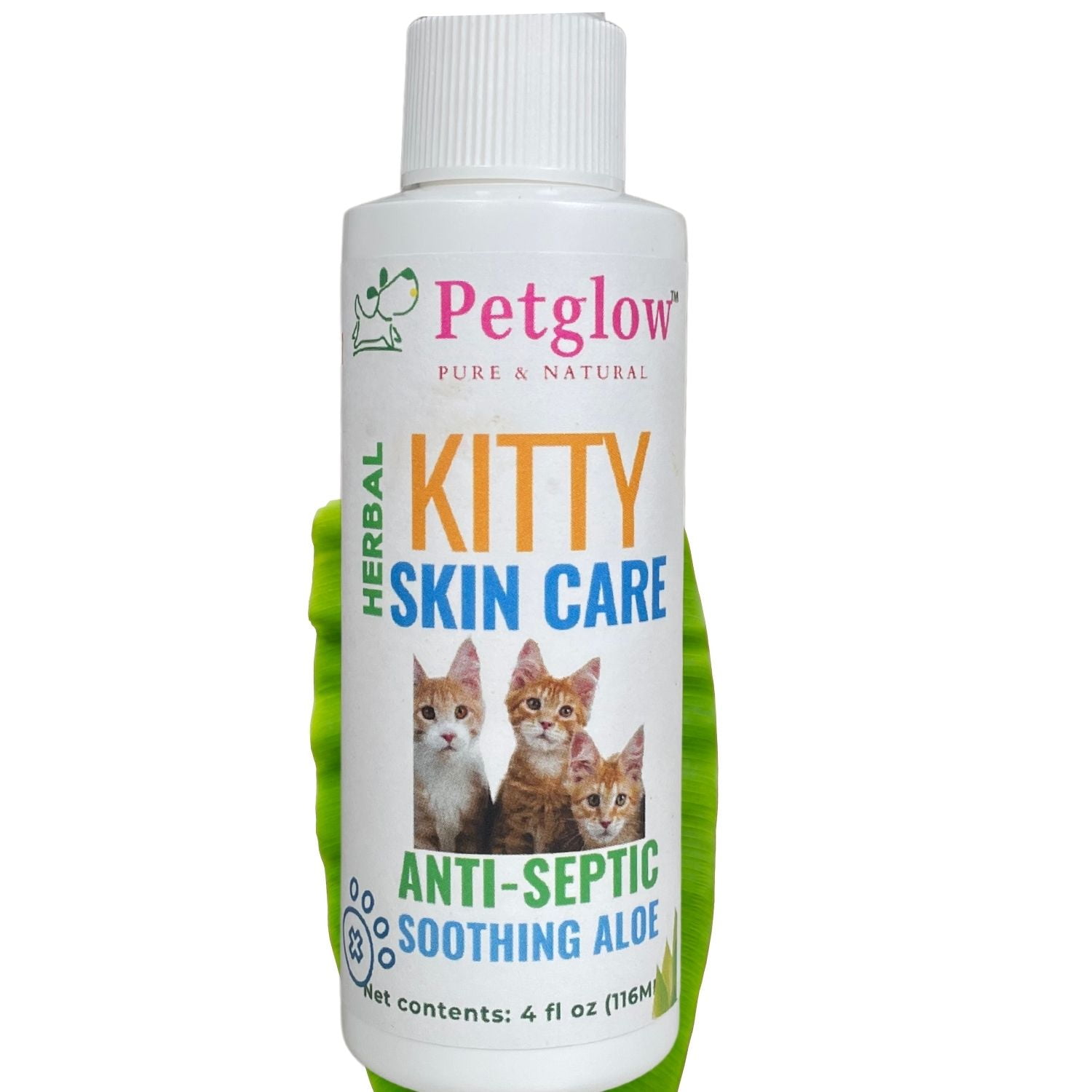 Cat 2024 dandruff shampoo