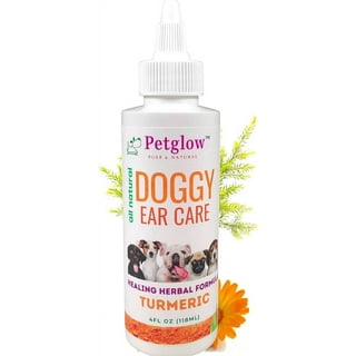 Dog Ear Yeast Infection