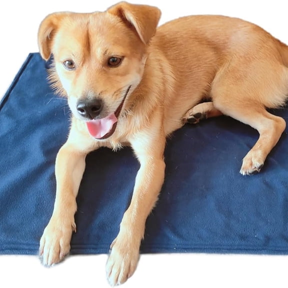 PetHeating Pad for Dogs & Cats with Timer, Temperature Adjustable Electric Heated Cat & Dog Bed, Waterproof Heated Pet Mat - Large (32Wx20L)