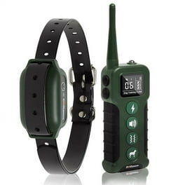 Bark collar walmart new arrivals