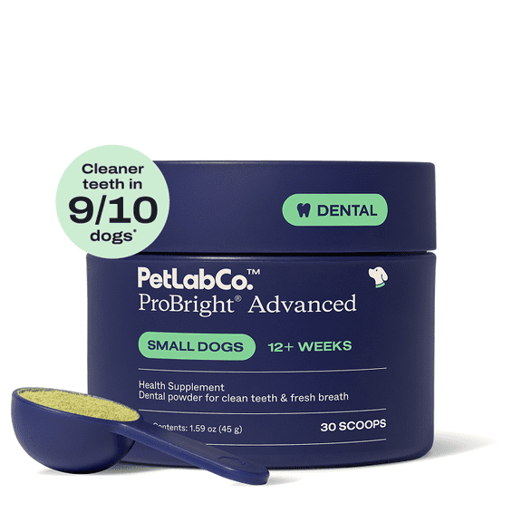 PetLab Co. ProBright Advanced Dental Powder - Award Winning Dog Breath Freshener - Teeth Cleaning Made Easy – Targets Tartar & Bad Breath - Formulated for Small Dogs