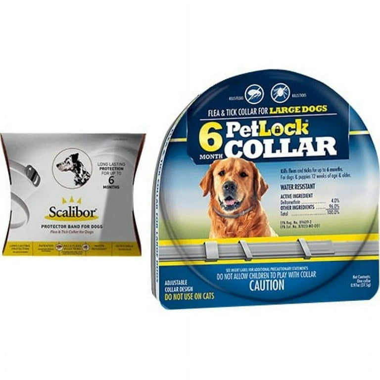 Petlock collar 2025
