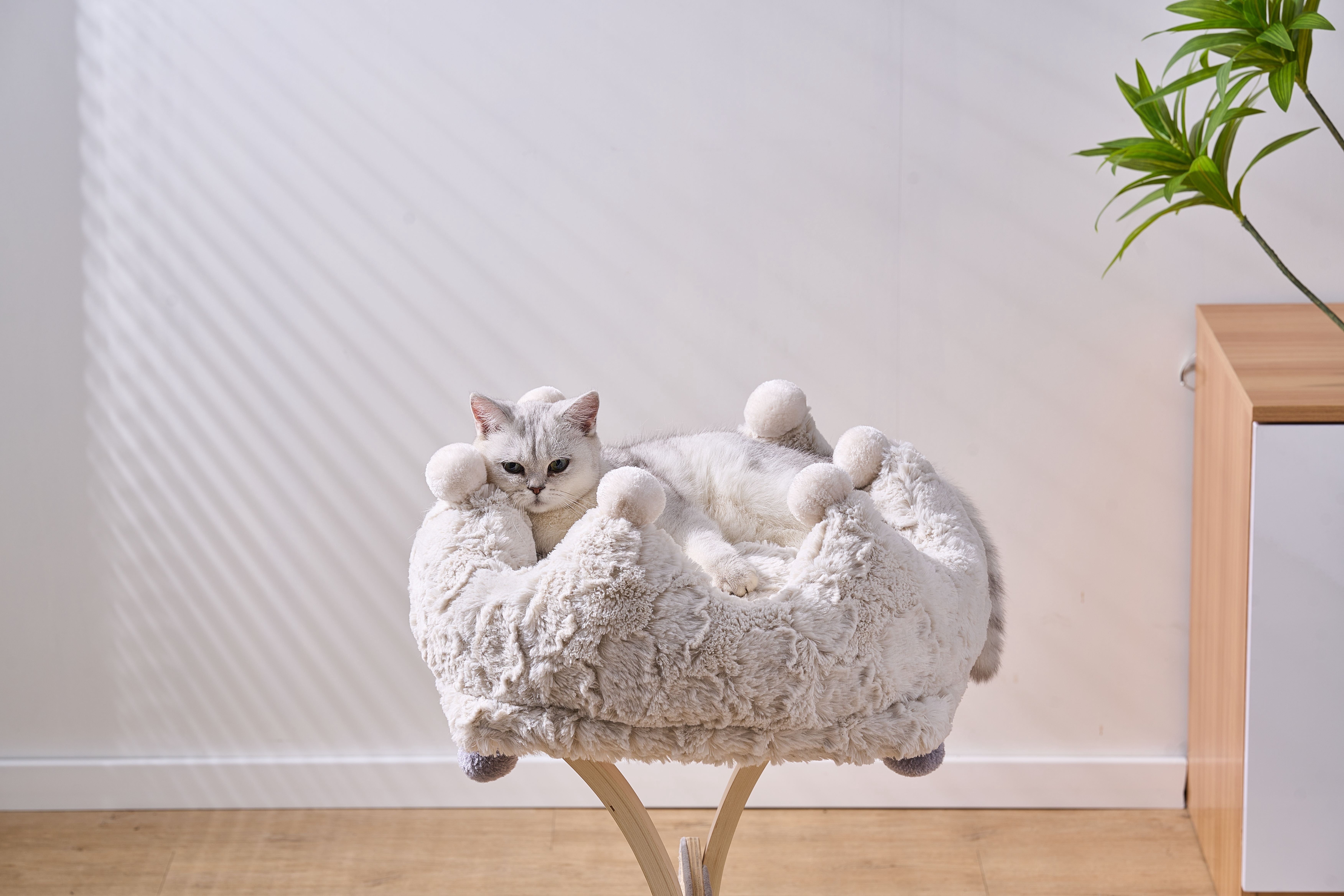 PetPals Anxiety Calming & Washable Kitten Cat Bed-Rose Crown