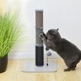 thumbnail image 1 of PetPals 25"H Scratching Post with Sisal Carpet and Groomer, Laminated Wood Base, 2 Teaser Toys, Grey, 1 of 7