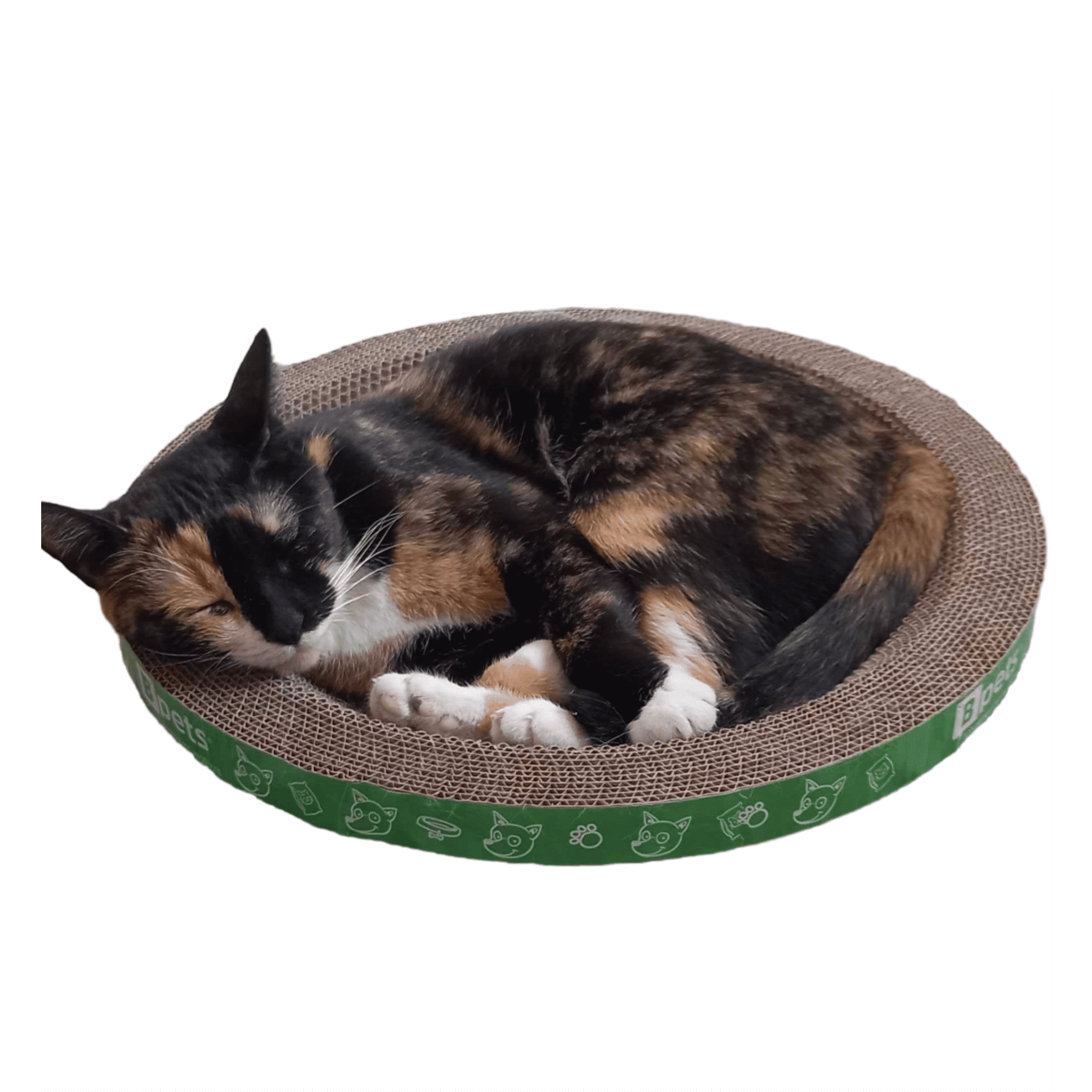 Round Brown Cardboard Cat Scratching Pad