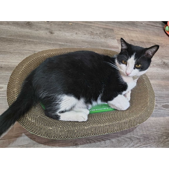 Cat scratcher Lightweight Corrugated Cardboard Cat Scratching Pad