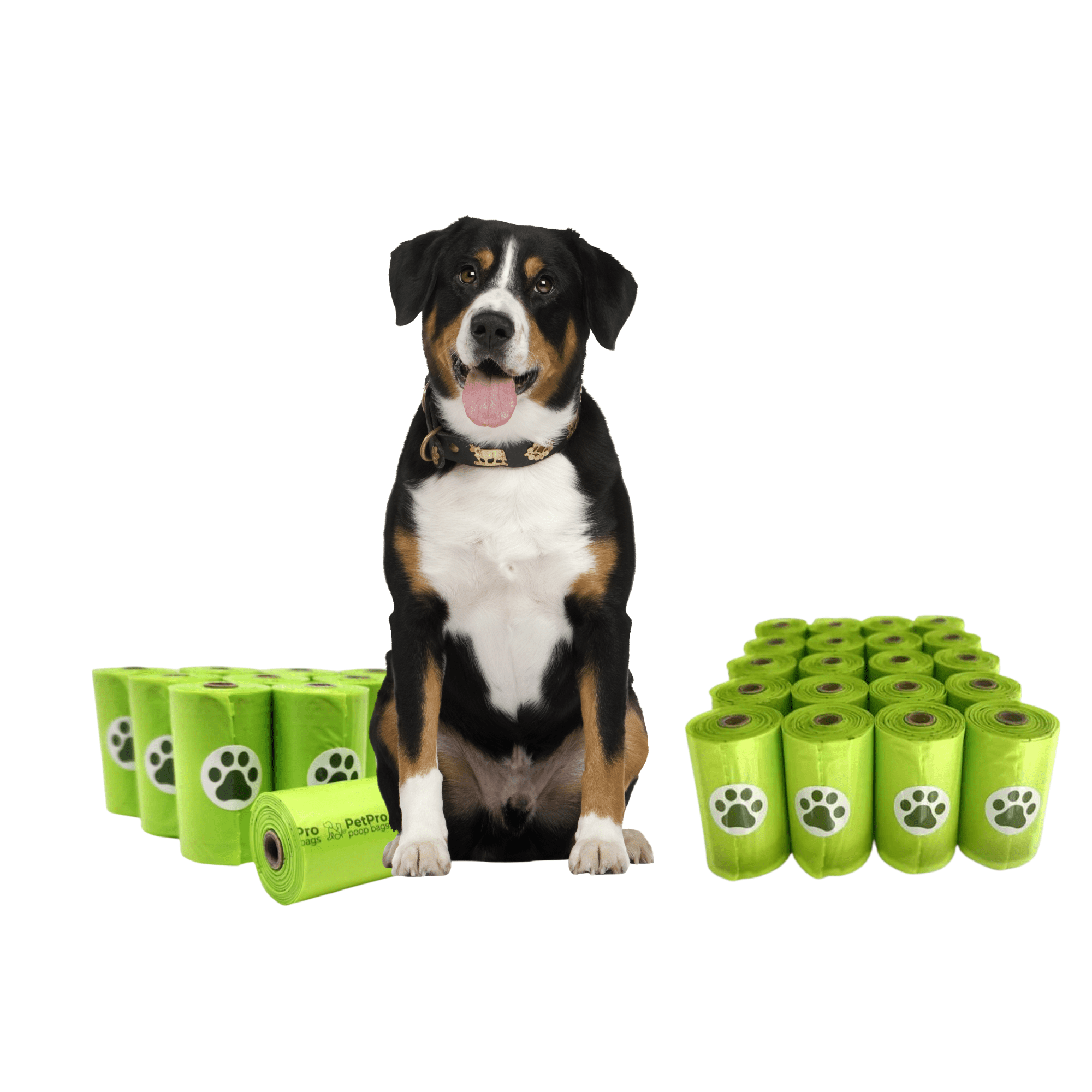 Fido house dog bags sale