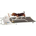 thumbnail image 1 of PetRun PR720F Dog Treadmill, 1 of 2