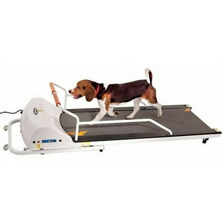GoPet PetRun PR720F Dog Treadmill