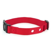 PetSafe 1 Inch Replacement Collar Strap with 2 holes, Red