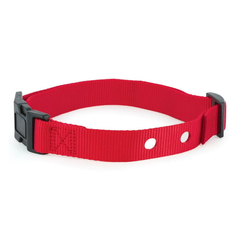 PetSafe 1 Inch Replacement Collar Strap with 2 holes Red