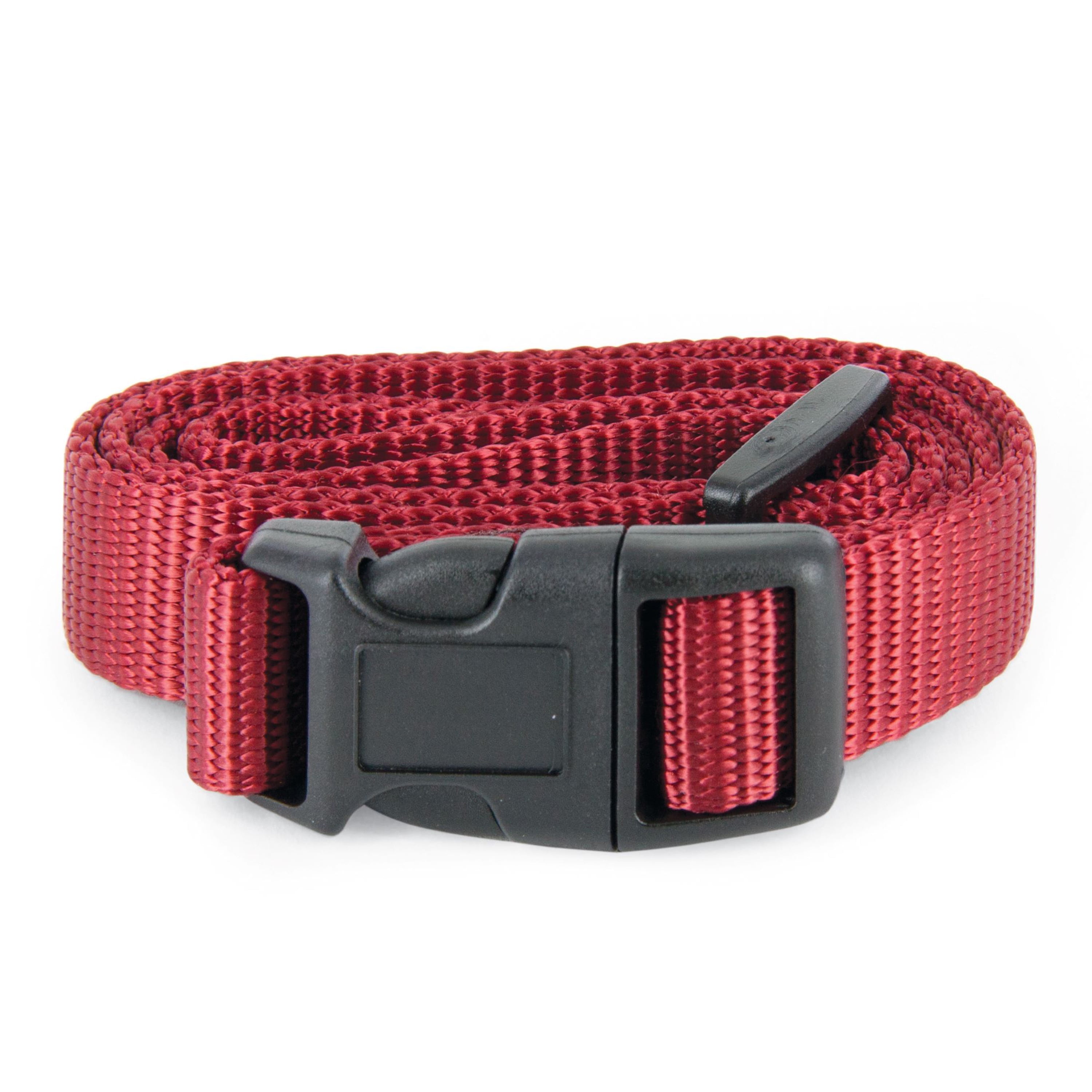 PetSafe 3/4 Replacement Collar Strap with no holes, Rust - Walmart.com