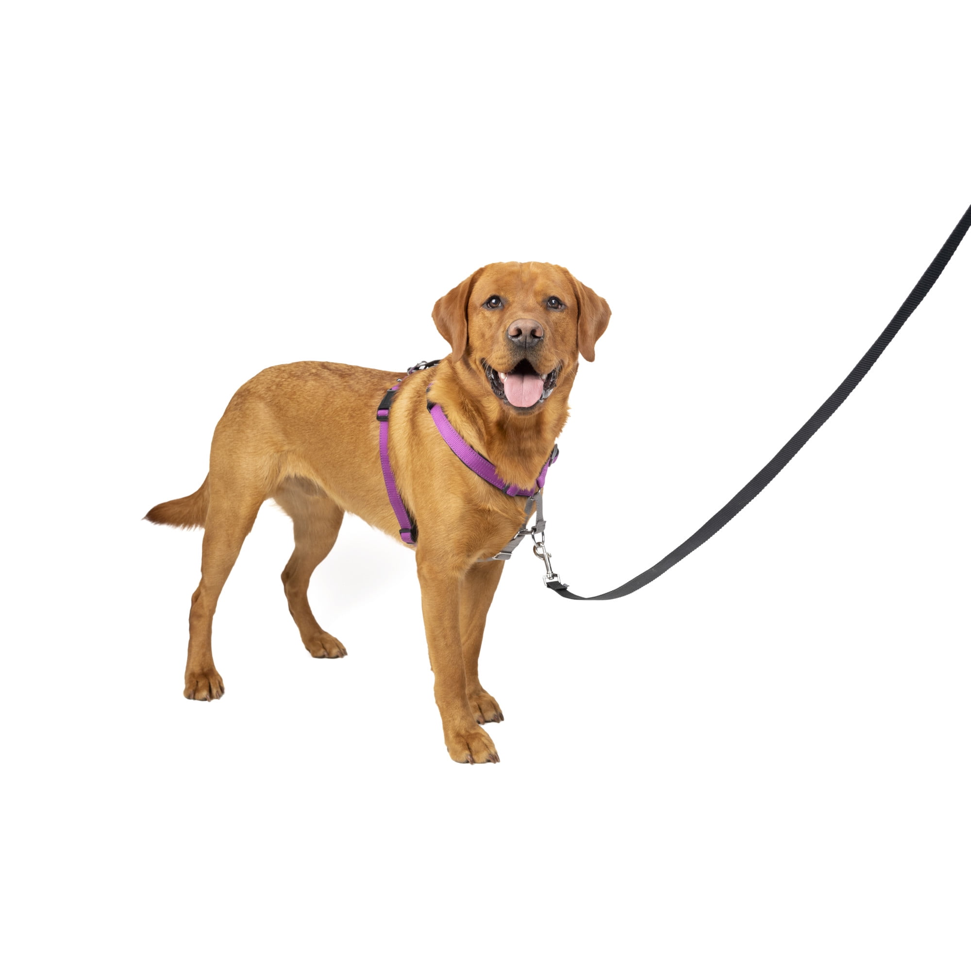 PetSafe 3 in 1 Harness, Fully Adjustable No-Pull Dog Harness and Car Restraint, Nylon, Large, Plum