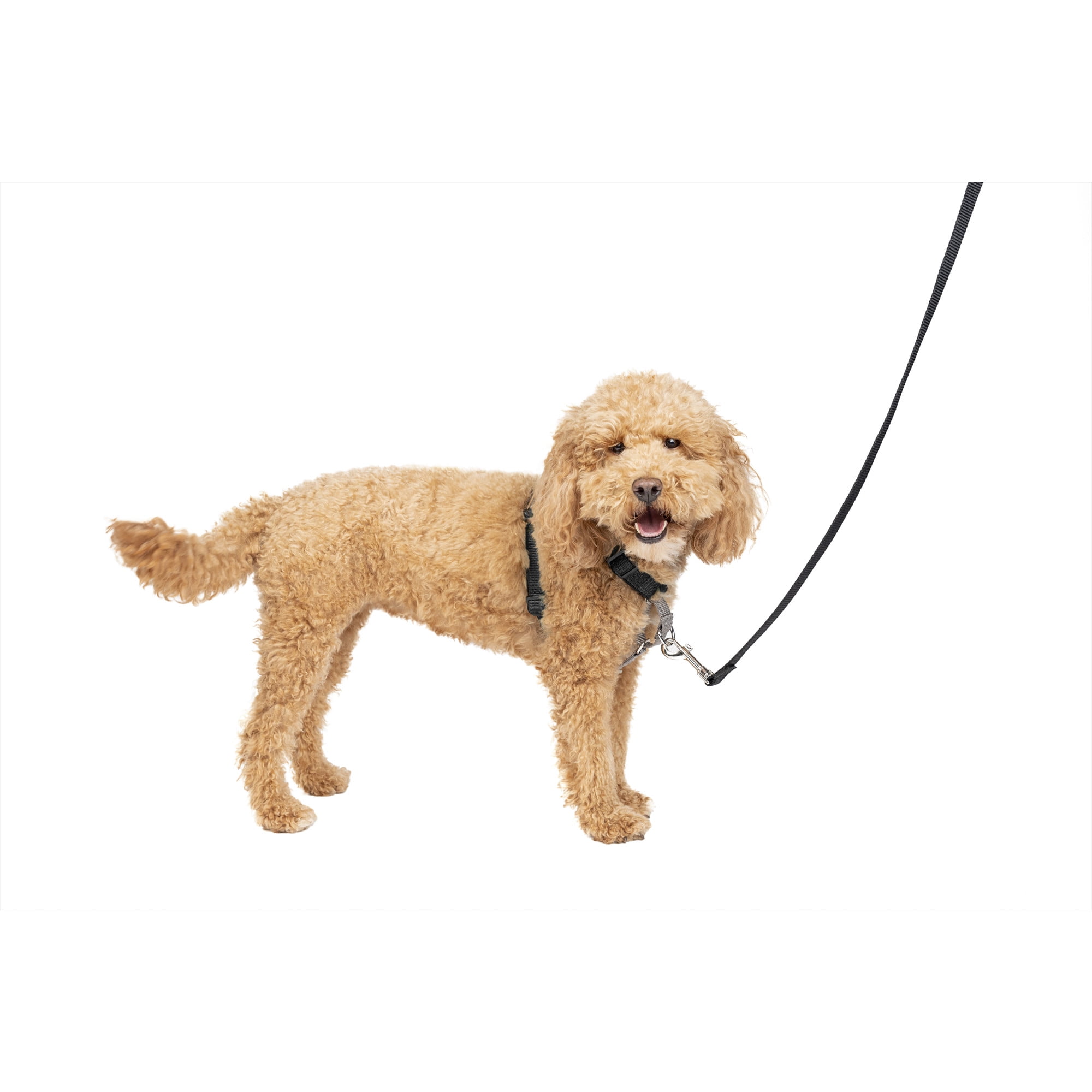 PetSafe 3 in 1 Harness, Fully Adjustable No-Pull Dog Harness and Car Restraint, Nylon, Small, Black