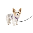 thumbnail image 1 of PetSafe 3 in 1 Harness, Fully Adjustable No-Pull Dog Harness and Car Restraint, Medium, Black, 1 of 7