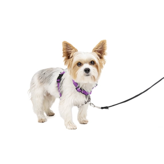 PetSafe 3 in 1 Harness, Fully Adjustable No-Pull Dog Harness and Car Restraint, Medium, Black