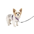 thumbnail image 1 of PetSafe 3 in 1 Harness, Fully Adjustable No-Pull Dog Harness and Car Restraint, Medium, Black, 1 of 6