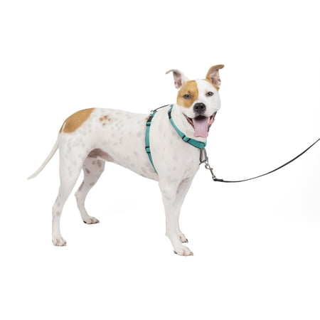 PetSafe 3 in 1 Harness, Fully Adjustable No-Pull Dog Harness and Car Restraint, Medium, Teal