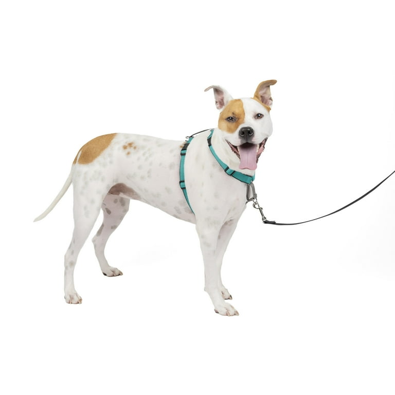 PetSafe in Harness, Fully Adjustable No-Pull Dog Harness and