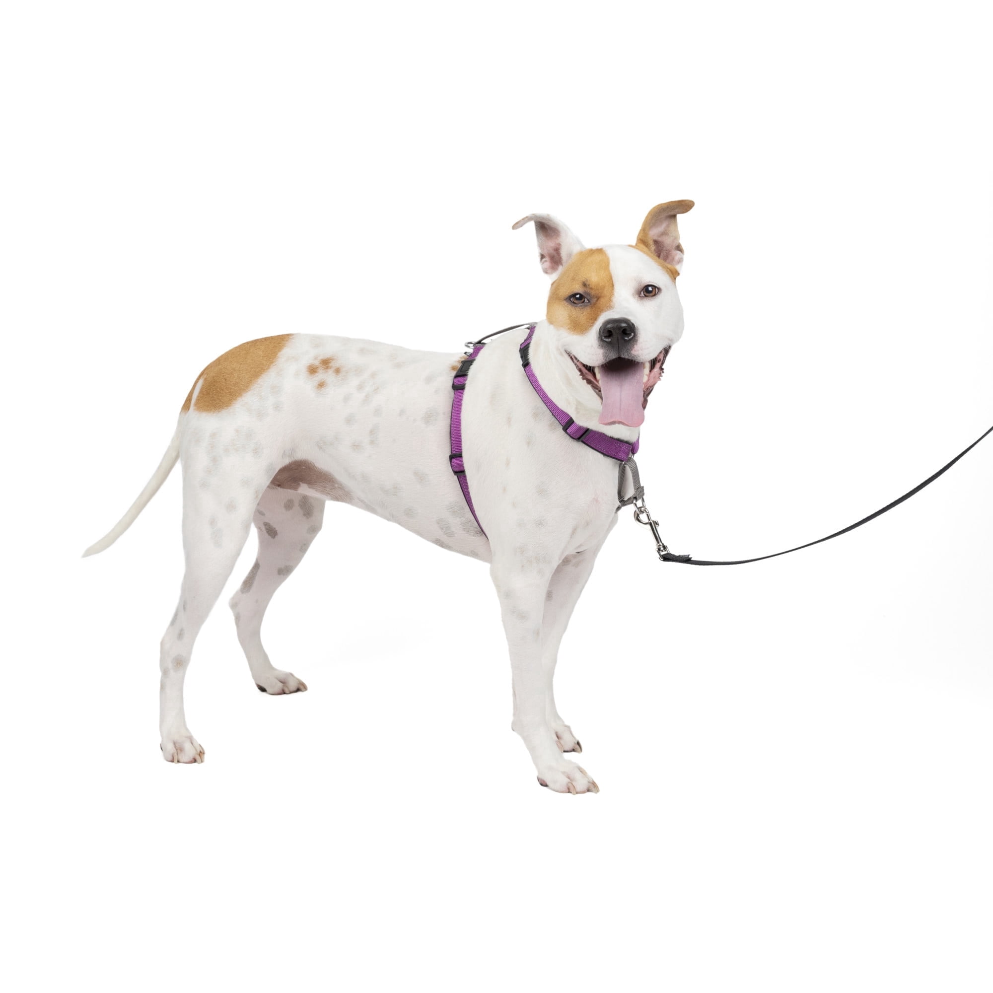 PetSafe 3 in 1 Harness, Fully Adjustable No-Pull Dog Harness and Car Restraint, Nylon, Medium, Plum