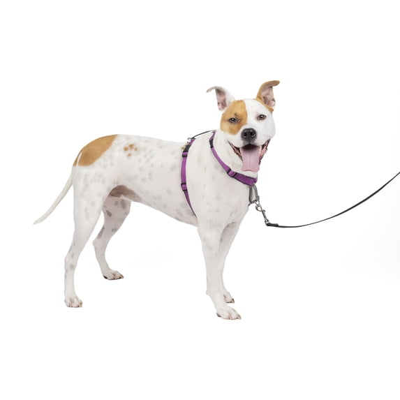 PetSafe 3 in 1 Harness, Fully Adjustable No-Pull Dog Harness and Car Restraint, Nylon, Medium, Plum