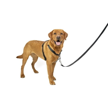 PetSafe 3 in 1 Harness, No-Pull Dog Harness and Car Restraint, Large, Black