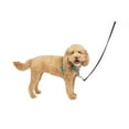 thumbnail image 1 of PetSafe 3 in 1 Harness, No-Pull Dog Harness and Car Restraint, Small, Teal, 1 of 7