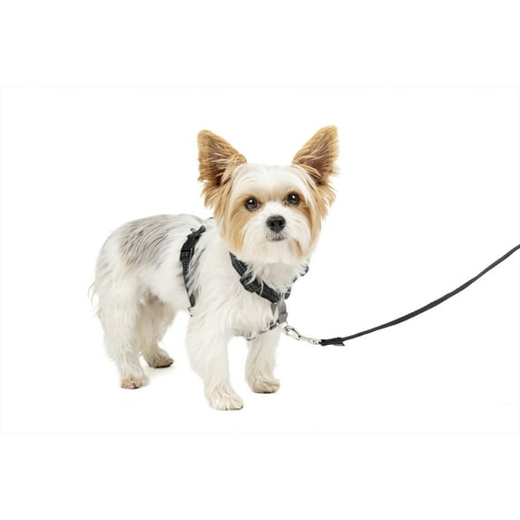 PetSafe 3 in 1 Harness, Fully Adjustable No-Pull Dog Harness and Car Restraint, Nylon, Medium, Black
