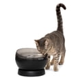 thumbnail image 1 of PetSafe HydroSphere Cordless Pet Fountain, Water Fountain for Cats and Small Dogs, black, 1 of 11