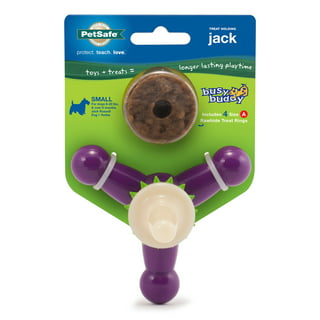 Pet Supplies : Pet Toy Balls : PetSafe Busy Buddy Barnacle - Dog Chew Toy -  Treat Dispensing Dog Toys Purple Large 