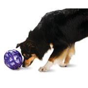 PetSafe Busy Buddy Kibble Nibble Dog Toy, Treat Dispenser, Medium/Large