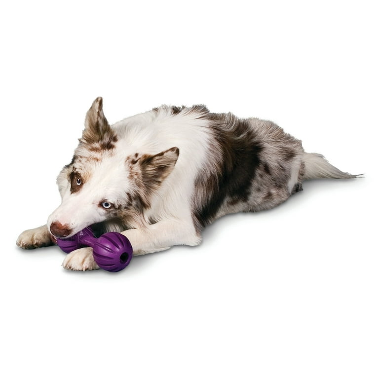 Busy Buddy Calming Dog Toy, Small
