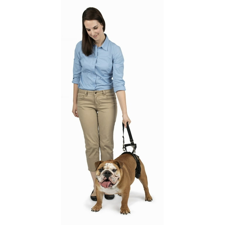 PetSafe CareLift Rear Support Harness for Pet Mobility Older