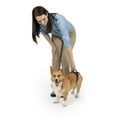 thumbnail image 1 of PetSafe CareLift Rear Support Harness for Pet Mobility & Older Dogs, Small, 1 of 8