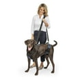 thumbnail image 1 of PetSafe CareLift Support Harness, Full Body Lifting Aid with Handle, Large, 1 of 7