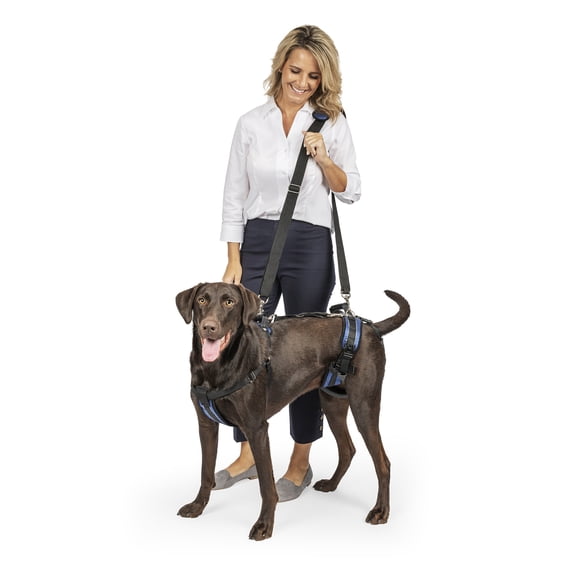 PetSafe CareLift Support Harness, Full Body Lifting Aid with Handle, Large